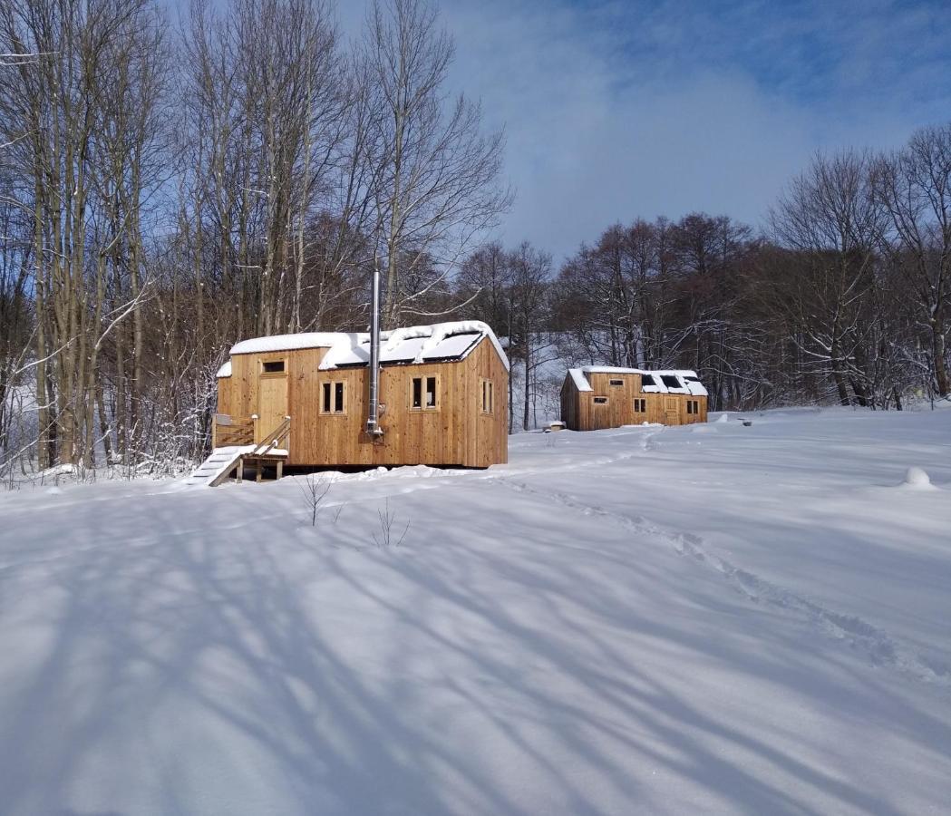 Вілла Celorocni Glamping V Pohodlnem Domecku Vyprachtice Екстер'єр фото